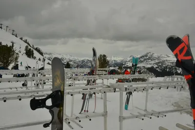 DSC_6721 (Large).JPG